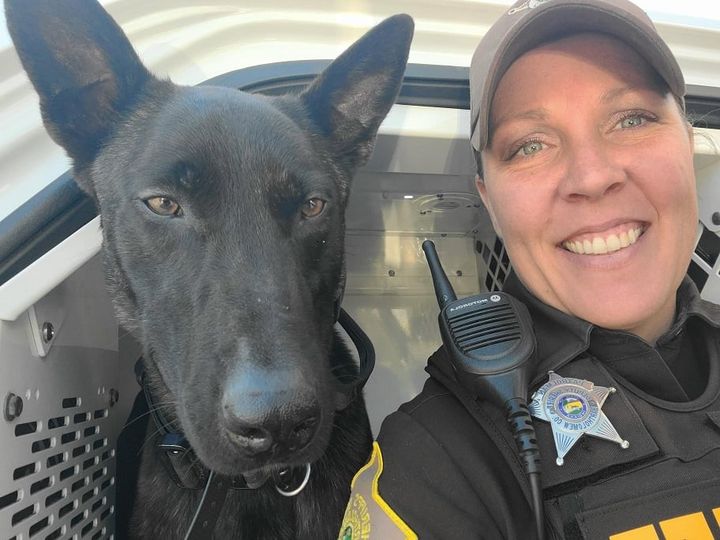 K9 Bravo returns to work - The Republic News