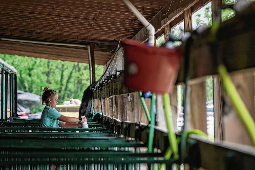 Bartholomew County 4H Fair results The Republic News