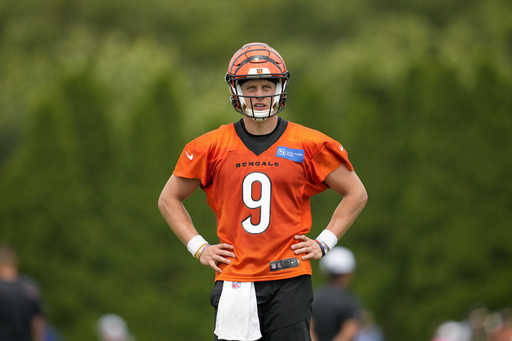 Joe Burrow Sets New Records as Cincinnati Bengals Head to the Post-Season  Again, Sports & Recreation, Cincinnati