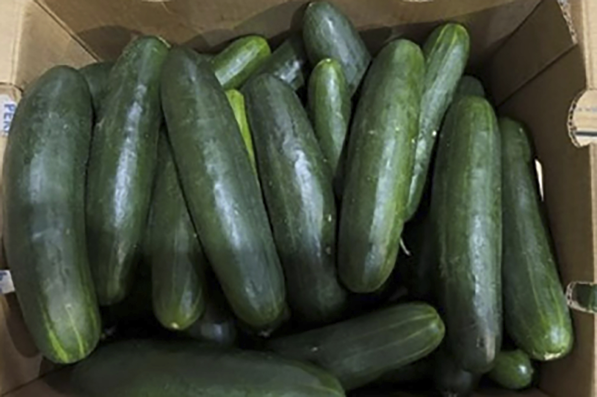 Salmonella outbreak may be linked to recalled cucumbers, CDC says The